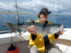 Live baited Merrimack River striper